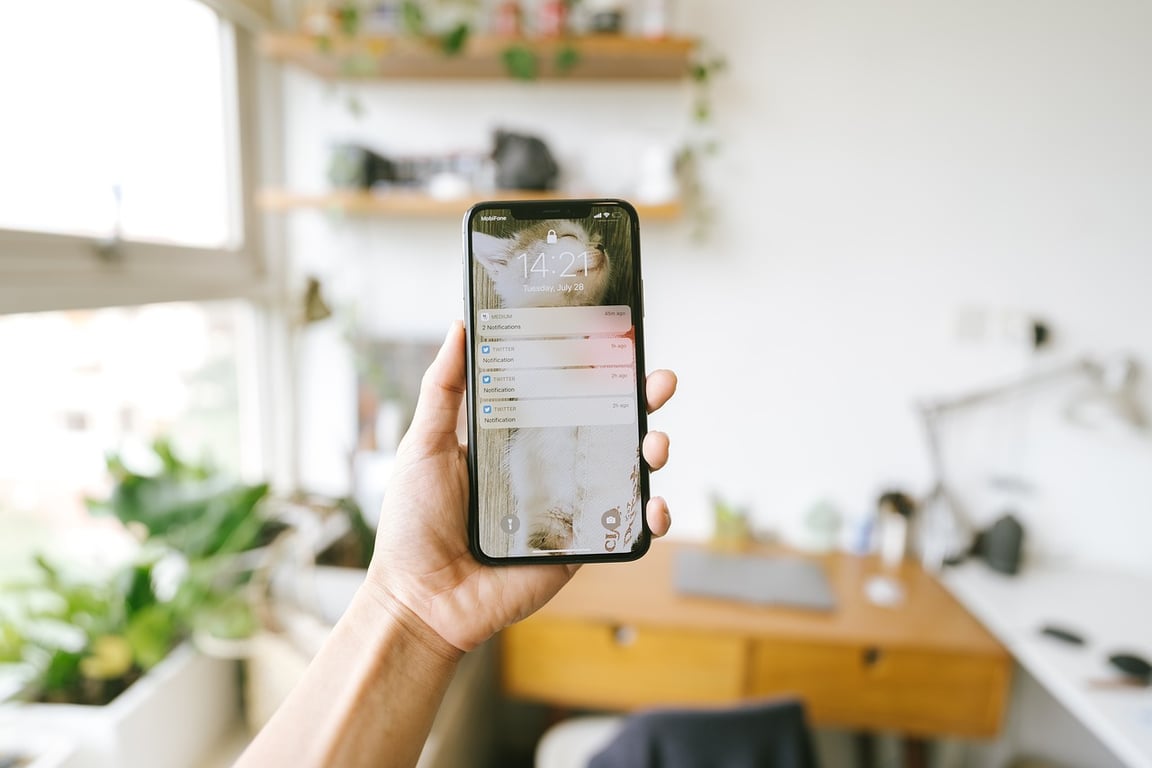 A person holding up a phone that is in focus and the aesthetic background is blurred.