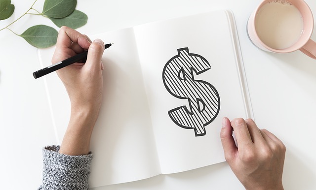 Dollar Sign on a book